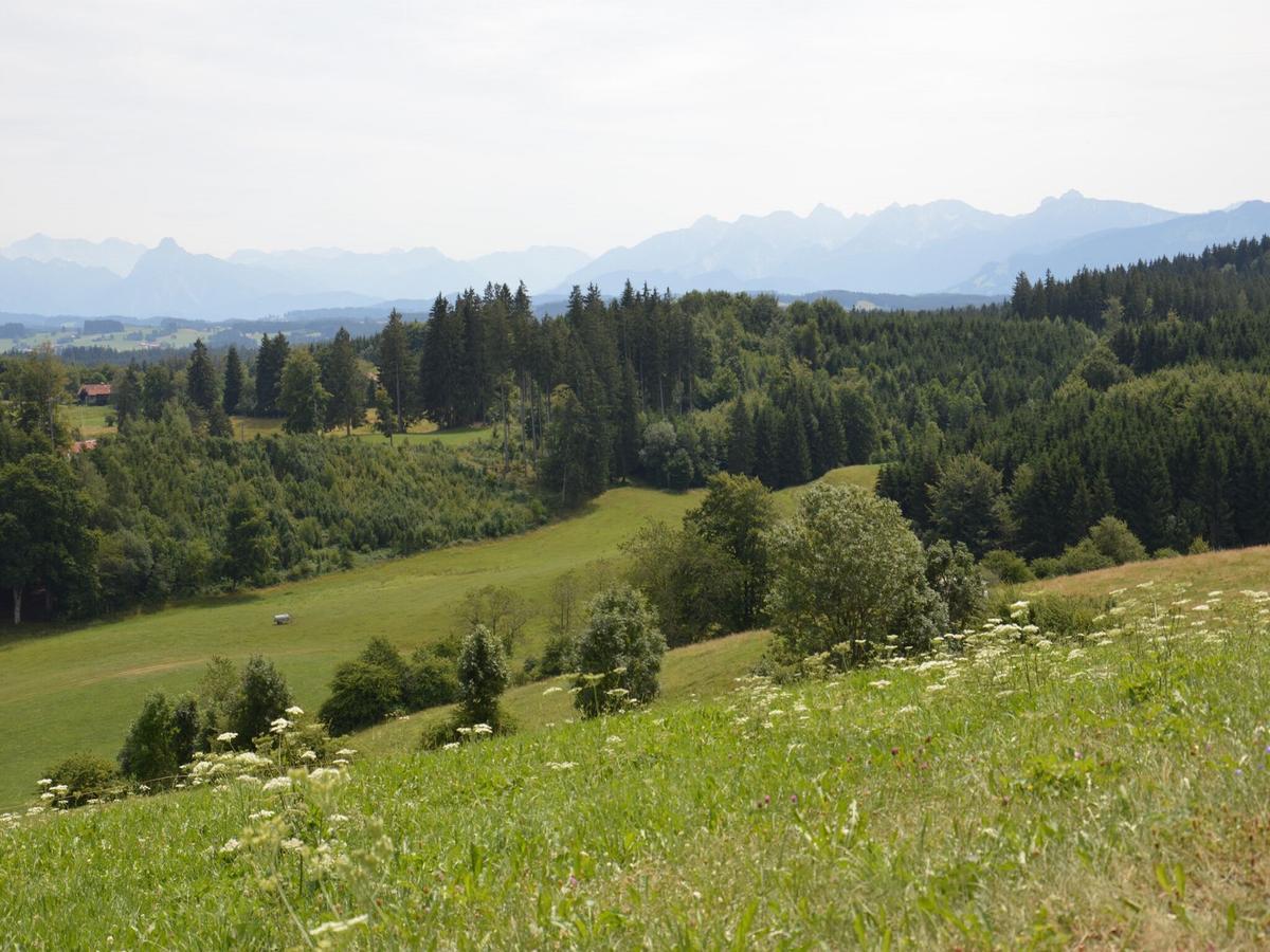Pension Mittelallgaeu Betzigau Екстер'єр фото